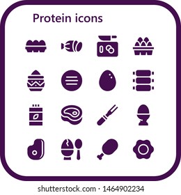 protein icon set. 16 filled protein icons.  Simple modern icons about  - Eggs, Salami, Chop, Powder, Meat, Egg, Ribs, Vitamins, Fried egg