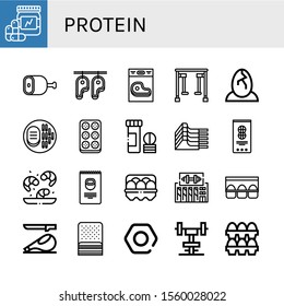 protein icon set. Collection of Vitamins, Ham, Steak, Gym equipment, Eggs, Meatball, Vitamin, Mutton, Peanut, Shrimp, Nuts, Egg, Gym, Egg carton, Bacon, Nut icons