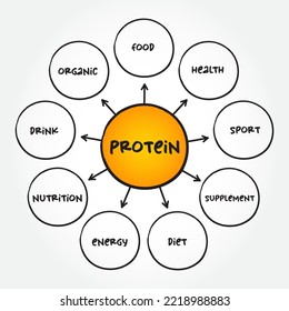 Protein Are Large Biomolecule And Macromolecule That Comprise One Or More Long Chains Of Amino Acid Residues, Mind Map Concept Background