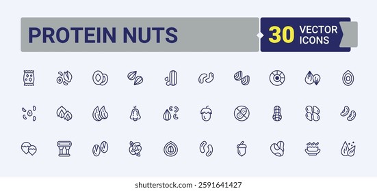 Protein Nuts icons set in linear style. Featuring cacao, walnut, coconut, graphic, nutmeg, pine, 6nut, hazel. Icons for website. Solid line editable stroke. Vector collection.