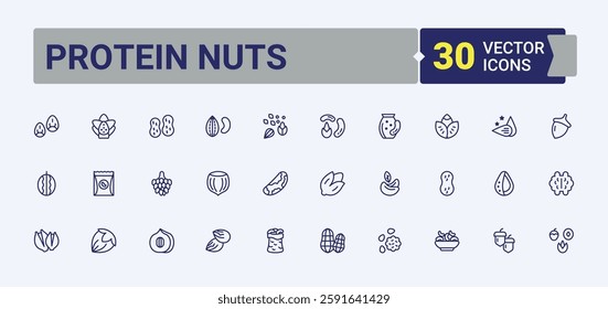 Protein Nuts icons set in linear style. Featuring cacao, walnut, coconut, graphic, nutmeg, pine, 6nut, hazel. Icons for website. Solid line editable stroke. Vector collection.