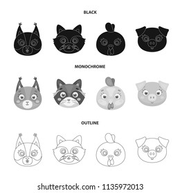 Protein, raccoon, chicken, pig. Animal muzzle set collection icons in black,monochrome,outline style vector symbol stock illustration web.