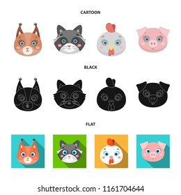 Protein, raccoon, chicken, pig. Animal muzzle set collection icons in cartoon,black,flat style vector symbol stock illustration web.