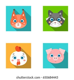 Protein, raccoon, chicken, pig. Animal's muzzle set collection icons in flat style vector symbol stock illustration web.