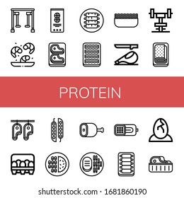 protein simple icons set. Contains such icons as Gym equipment, Shrimp, Peanut, Steak, Ribs, Bacon, Minced meat, Ham, Gym, Meatloaf, Eggs, can be used for web, mobile and logo