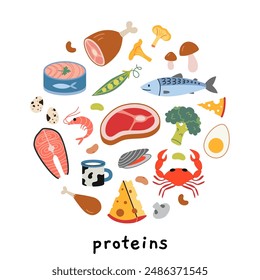 Protein sources product infographic. Healthly food set with meat, seafood, vegetables and dairy products. Modern vector illustration isolated on white background, hand drawn, flat design