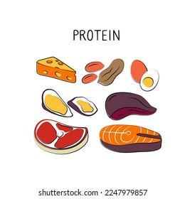 Protein-containing food. Groups of healthy products containing vitamins and minerals. Set of fruits, vegetables, meats, fish and dairy.