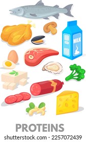 Proteins cartoon icons. Healthy diet food chart isolated on white background