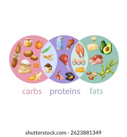 Proteins, fats and carbohydrates in foods are a combination. Drawn by hand in a realistic style. Isolate on white background.