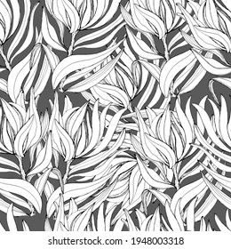 Proteus pattern. African flower, big beautiful bud. Botanical background with white flower. For wallpaper, textiles, design. Stock graphics. Isolate.