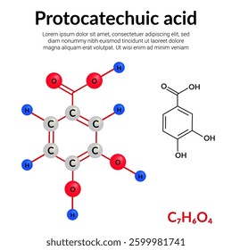 Protocatechuic acid (PCA), antioxidant polyphenol found in green tea, molecular structure formula, ball-and-stick model, suitable for education or chemistry science content. Vector illustration
