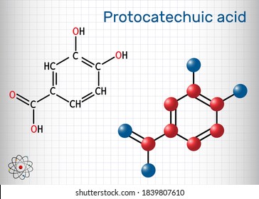 Protocatechuic acid, PCA molecule. It is 3,4-dihydroxybenzoic, phenolic acid, metabolite of antioxidant polyphenols, catechol, is found in green tea. Sheet of paper in a cage. Vector illustration