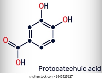 Ácido protocatéico, molécula de PCA. Es 3,4-dihidroxibenzoico, ácido fenólico, metabolito de polifenoles antioxidantes, catecol, se encuentra en el té verde. Fórmula química esquelética. Ilustración del vector