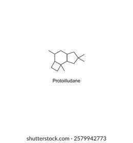 Protoilludane skeletal structure.Sesquiterpene compound schematic illustration. Simple diagram, chemical structure.