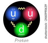 Proton with two up quarks, one down quark, their charges and the forces between them. Nuclear physics. Vector illustration.