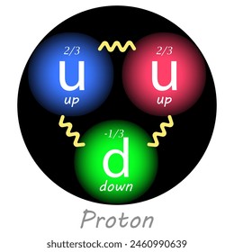 Proton with two up quarks, one down quark, their charges and the forces between them. Nuclear physics. Vector illustration.