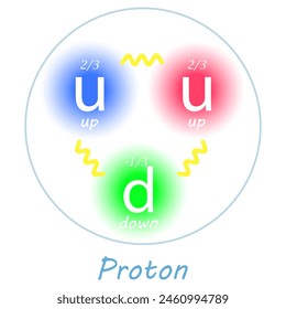 Proton with two up quarks, one down quark, their charges and the forces between them on white background. Nuclear physics. Vector illustration.