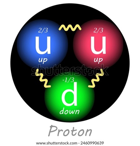 Proton with two up quarks, one down quark, their charges and the forces between them. Nuclear physics. Vector illustration.