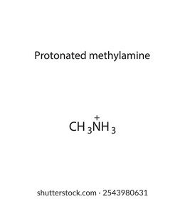 Diagrama protonado da estrutura esquelética da metilamina.Molécula orgânica composta ilustração científica.
