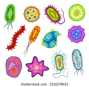 Protozoa, protista and amoeba microorganism cells, vector micro organism. Ameba and protist unicellular cells in lab microscope, protozoan eukaryotic organism types