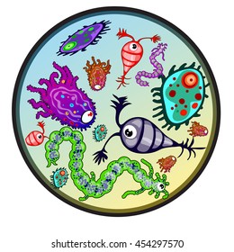 Protozoa under a magnifying glass. Vector illustration.
