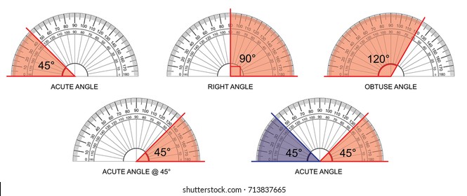 protractor - protractor actual size graduation isolated on background vector 
