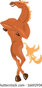 Proud athletic horse