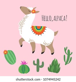 Proud awesome lama and cactus - hello alpaca card design. Vector green cactus and animal lama, alpaca wildlife illustration