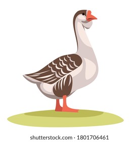 proud bird a gray goose stands in a green meadow