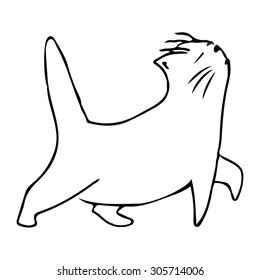 proud cat is cocked his head