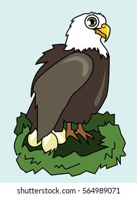 Proud eagle, the symbol of America and mother watching her beautiful eggs inside natural nest. Adorable vector illustration for toddlers and kids.