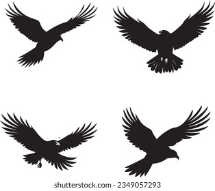 proud falcons flying in the sky