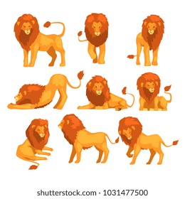 Proud powerful lion character in different actions set of cartoon vector Illustrations on a white background