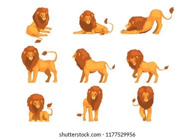 Proud powerful lion character in different actions set of cartoon vector Illustrations on a white background