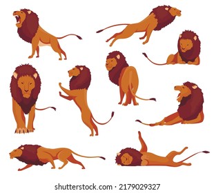 Proud powerful lion character in different actions set. King of animal. Cartoon cute wild cats collection. Isolated vector Illustrations on a white background