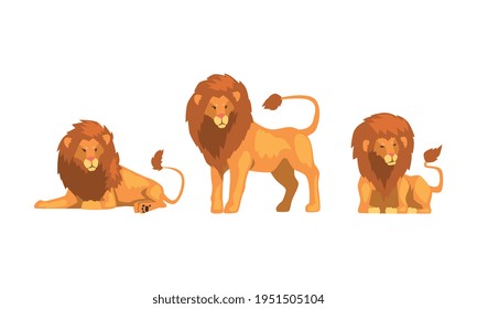 Proud Powerful Lion Character as King of Animal with Brown Mane Vector Set