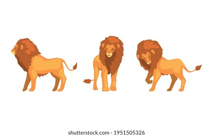 Proud Powerful Lion Character as King of Animal with Brown Mane Vector Set