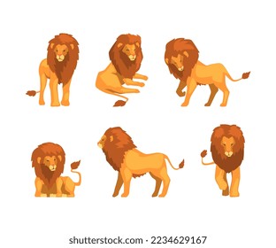 Proud Powerful Lion Character as King of Animal with Brown Mane Vector Set
