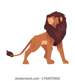 Proud Powerful Lion, Mammal Wild Cat Jungle Animal Vector Illustration
