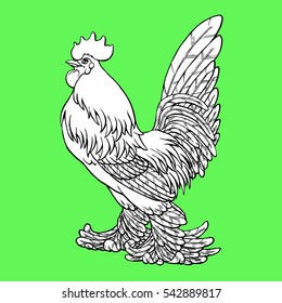 Proud rooster coloring on green background. Decorative chicken monochrome. Coloring page book. A symbol of the Chinese new year 2017 according to east calendar.