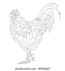 Proud Rooster - Retro Ad Art Illustration