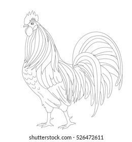 Proud rooster vector outline isolated on the white background