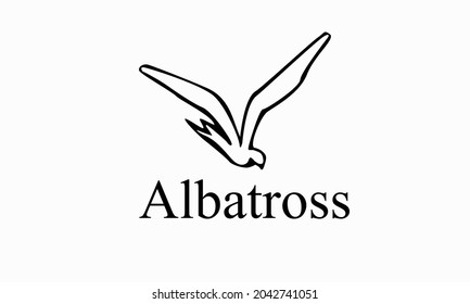 A proud strong Albatross seabird