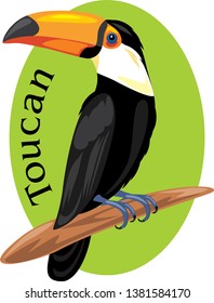 Proud toucan. Symbol for design. Vector