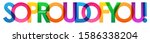 SO PROUD OF YOU! rainbow vector typography banner