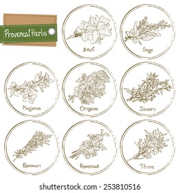 Provencal Herbs set. Provencal Herbs. Vector illustration