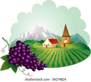 Provence background with grape