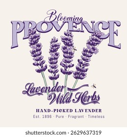 Provence City France Modern Romantic lavender flowers vector illustration graphic with slogan