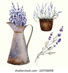 Provence, element, vector