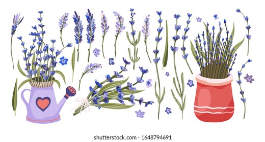 Vektorillustration der Provence. Große, flache natürliche Blumenstrauß-Kollektion mit Lavendel in einem Topf und isolierten Blumenelementen.